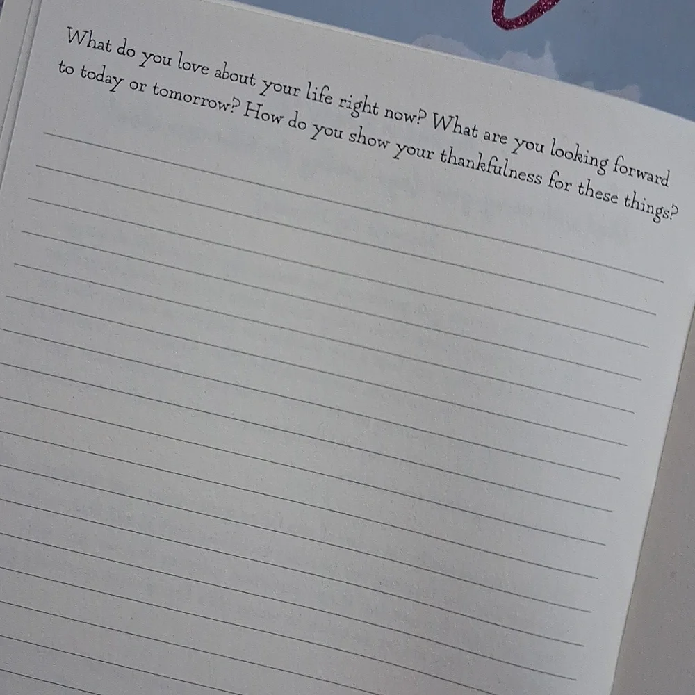 Butterfly Journal Set